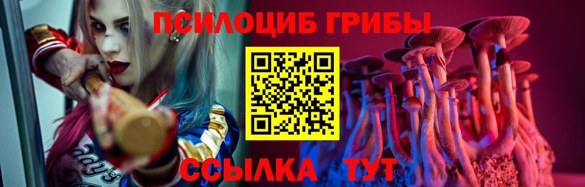 Галлюциногенные грибы мухоморы Кингисепп